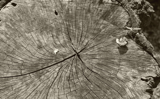 gr000456_web.jpg