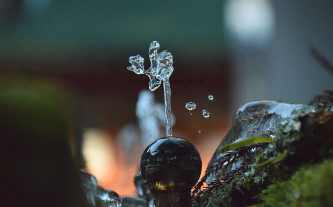 dsc_1201_web.jpg