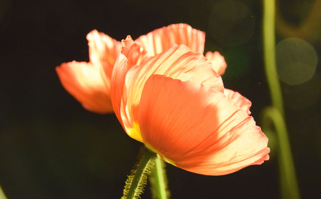 dsc_1731_web.jpg